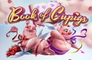 Book of Cupigs